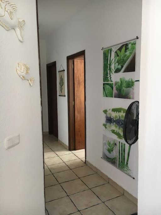 Apartamento Playero Privado Wifi- Morrojable Morro Jable  Eksteriør bilde